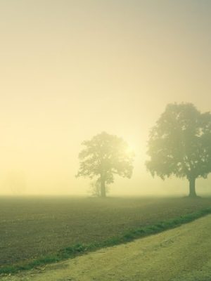 Quando si parla di clima Cremona è sempre in&nbsp;fondo